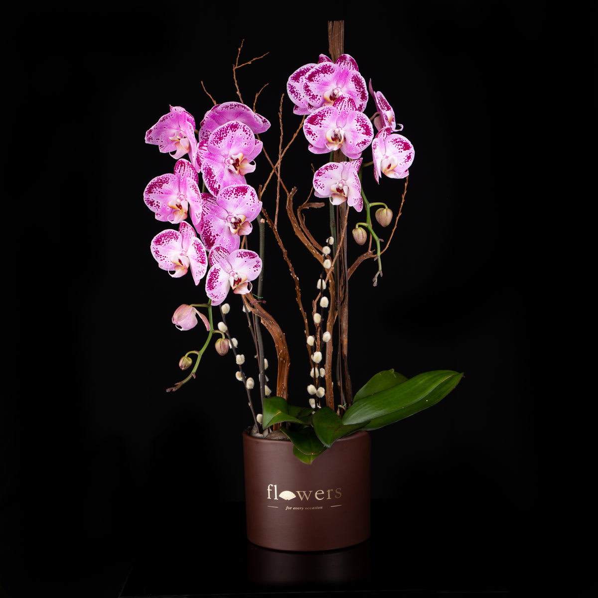 Endless Blessing Orchid Flower Arrangement The Mandarin Flower Shop